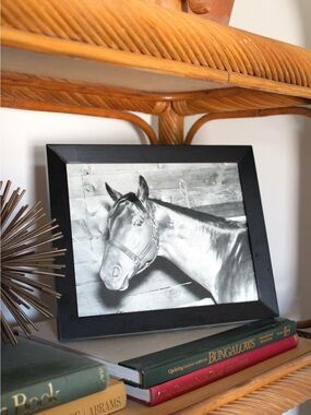 Original Black Framed Horse Photo Print - Home Art 9.5x11.5”